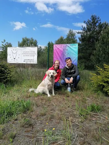 DOGadajMY się - szkolenie psów